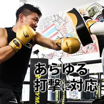 Amazon | BODYMAKER(ボディメーカー) ハイパーキックミット